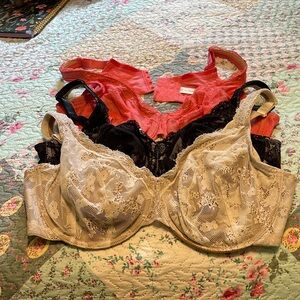 Lot of CaCique Bras • 44D •